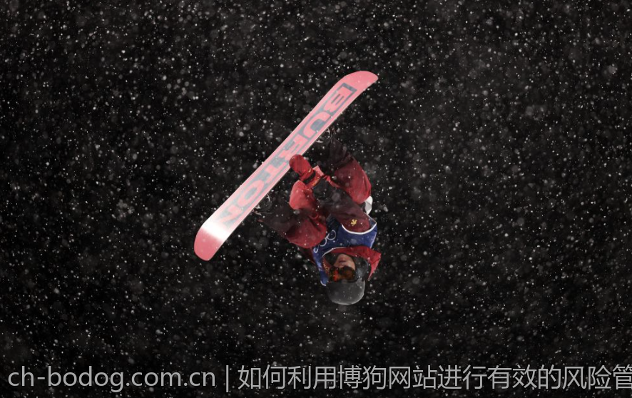 如何利用博狗网站进行有效的风险管理