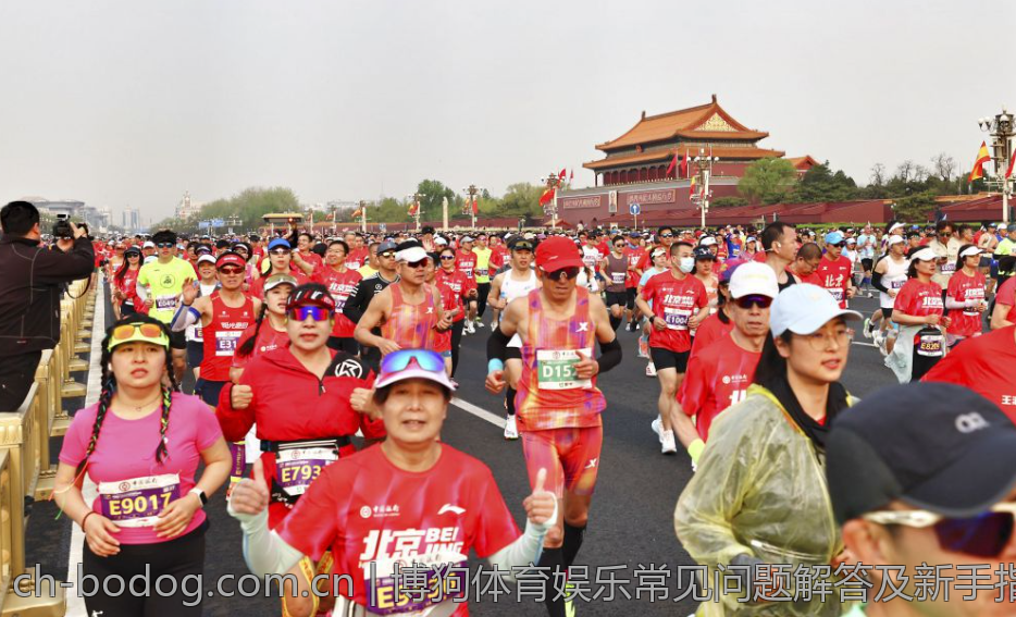 博狗体育娱乐常见问题解答及新手指南