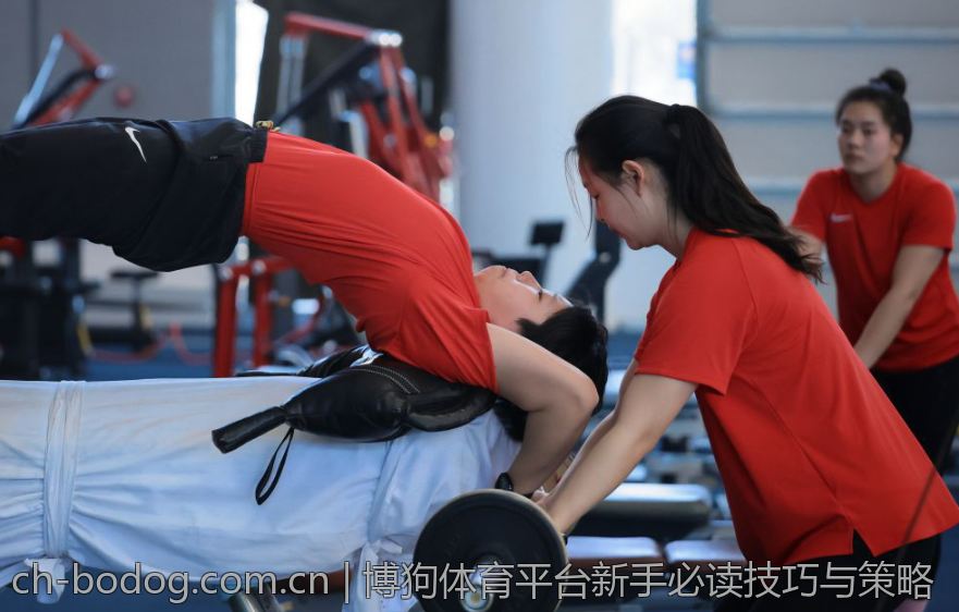 博狗体育平台新手必读技巧与策略