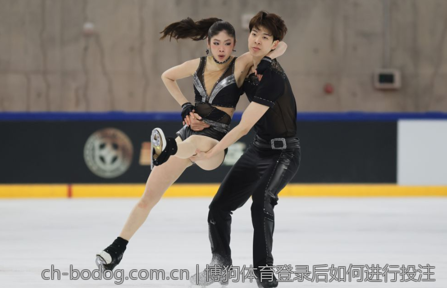 博狗体育登录后如何进行投注